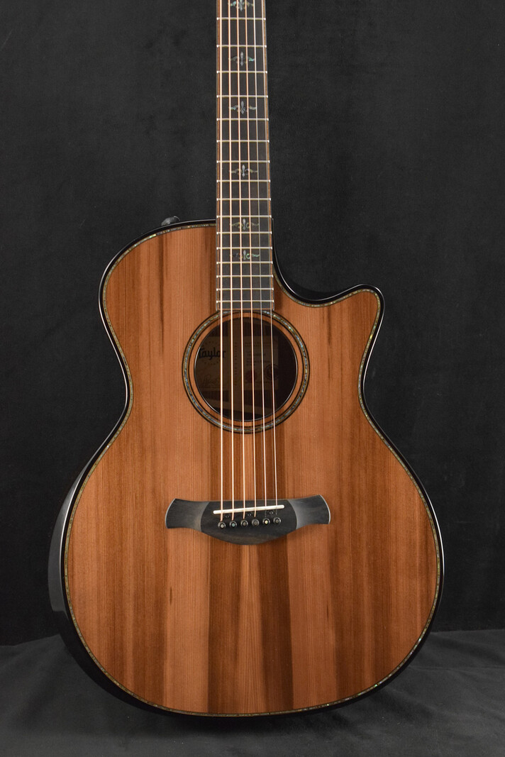 Taylor Taylor Builder's Edition 914ce