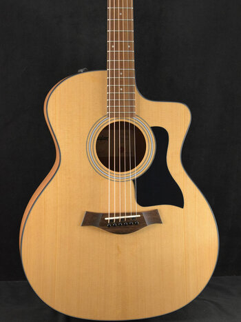 Taylor 314ce LR Baggs Anthem付き Taylor Guitars 314ce Studio acousti electric guitar with gig