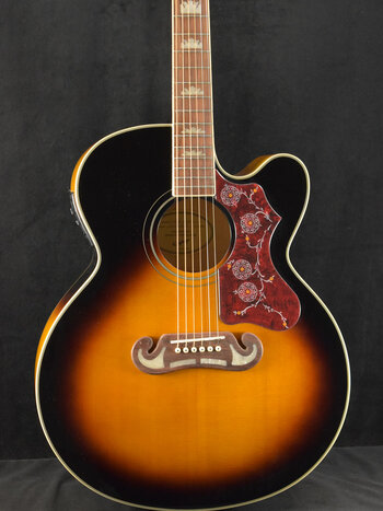 タ*ダ様 Epiphone PR-200NS Fishman マイク&チューナー Epiphone
