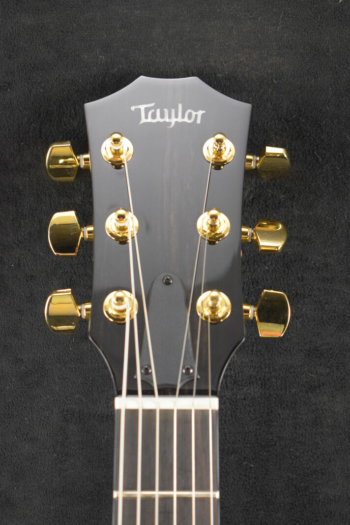 Taylor Taylor T5z Custom Koa Shaded Edge Burst