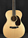 Martin Martin Custom Shop 10CM000BLKWALNUT Auditorium 14-Fret Black Walnut