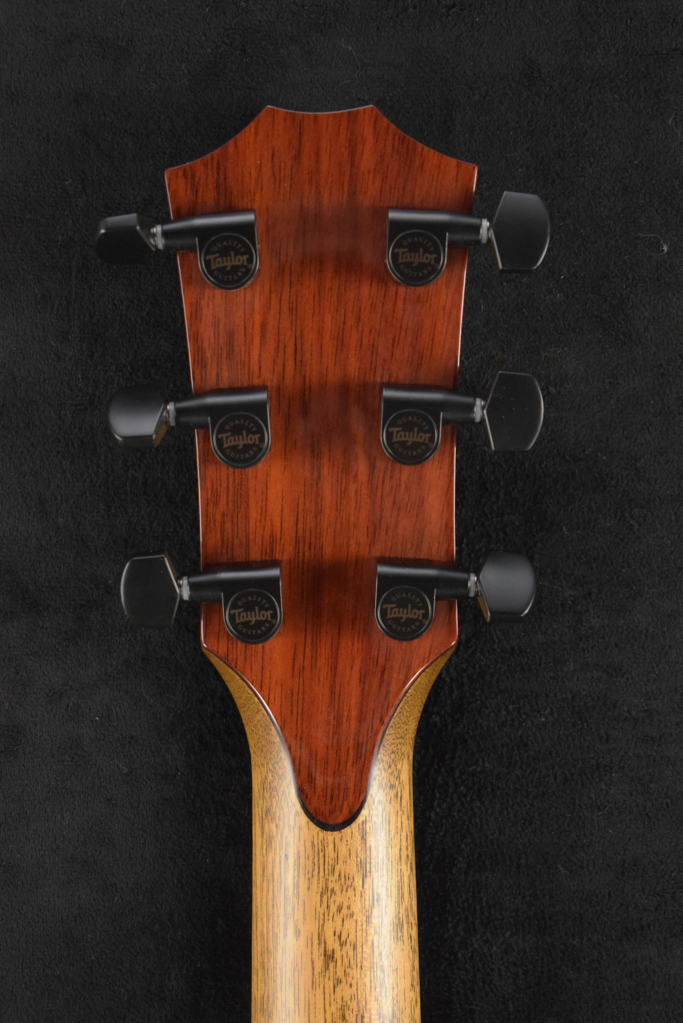 Taylor Taylor NAMM Custom #6 C14ce B5006 Grand Auditorium Bearclaw Sitka Spruce/Blackheart Sassafras