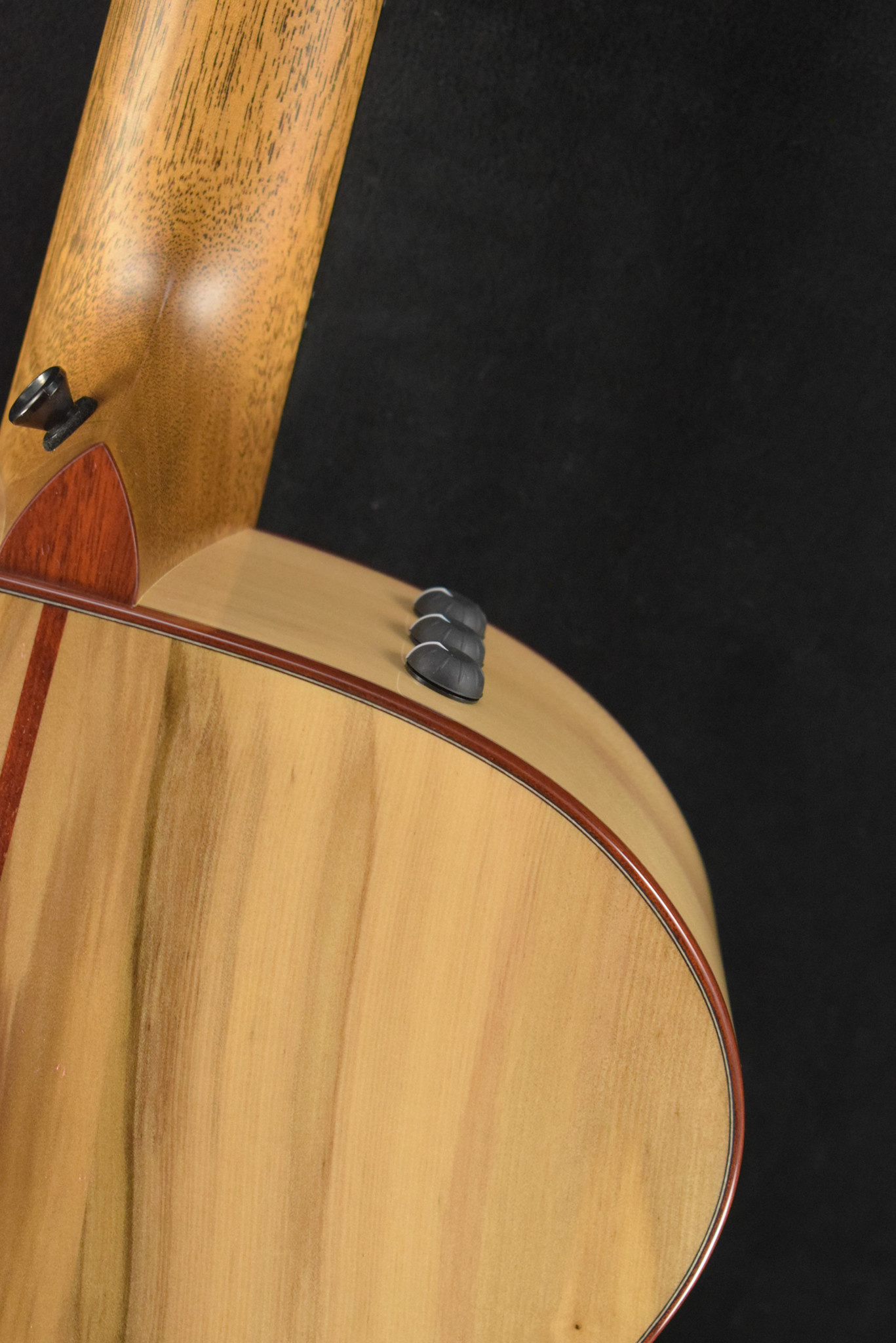 Taylor Taylor NAMM Custom #6 C14ce B5006 Grand Auditorium Bearclaw Sitka Spruce/Blackheart Sassafras