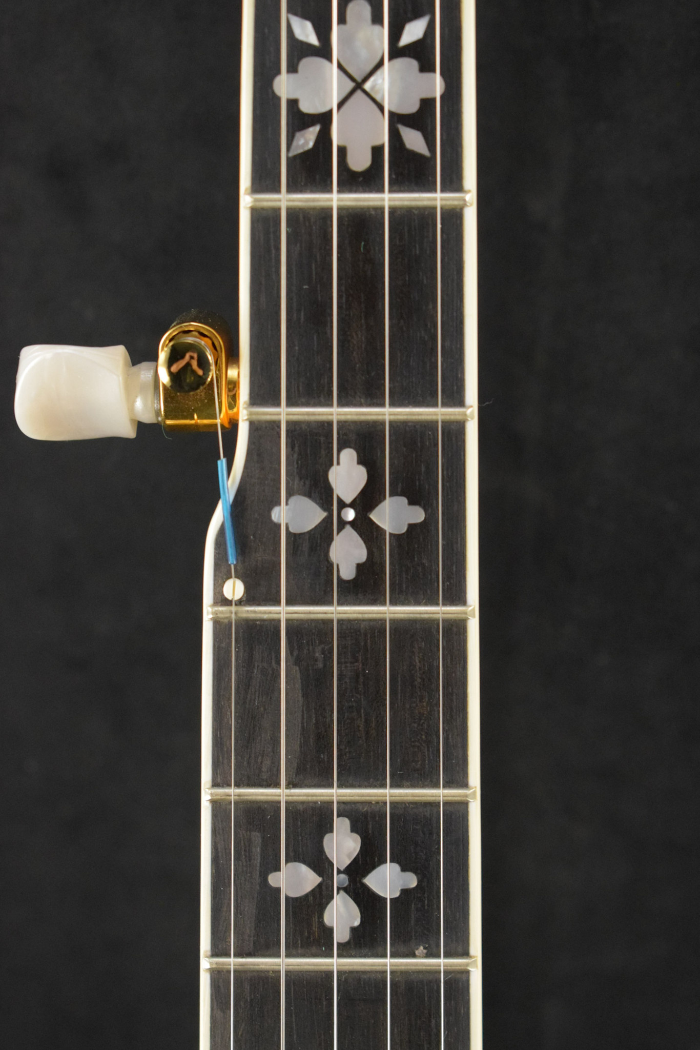 Epiphone Epiphone Earl Scruggs Golden Deluxe Banjo Vintage Sunburst w/Hardshell Case