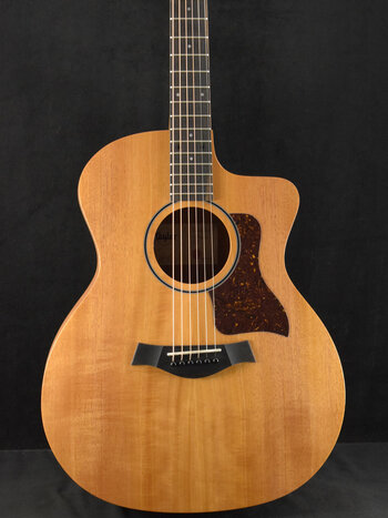 Taylor Taylor 24ce Mahogany Top Natural