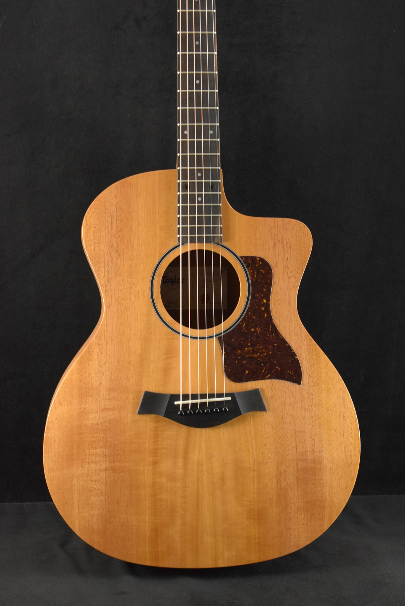 Taylor Taylor 24ce Mahogany Top Natural