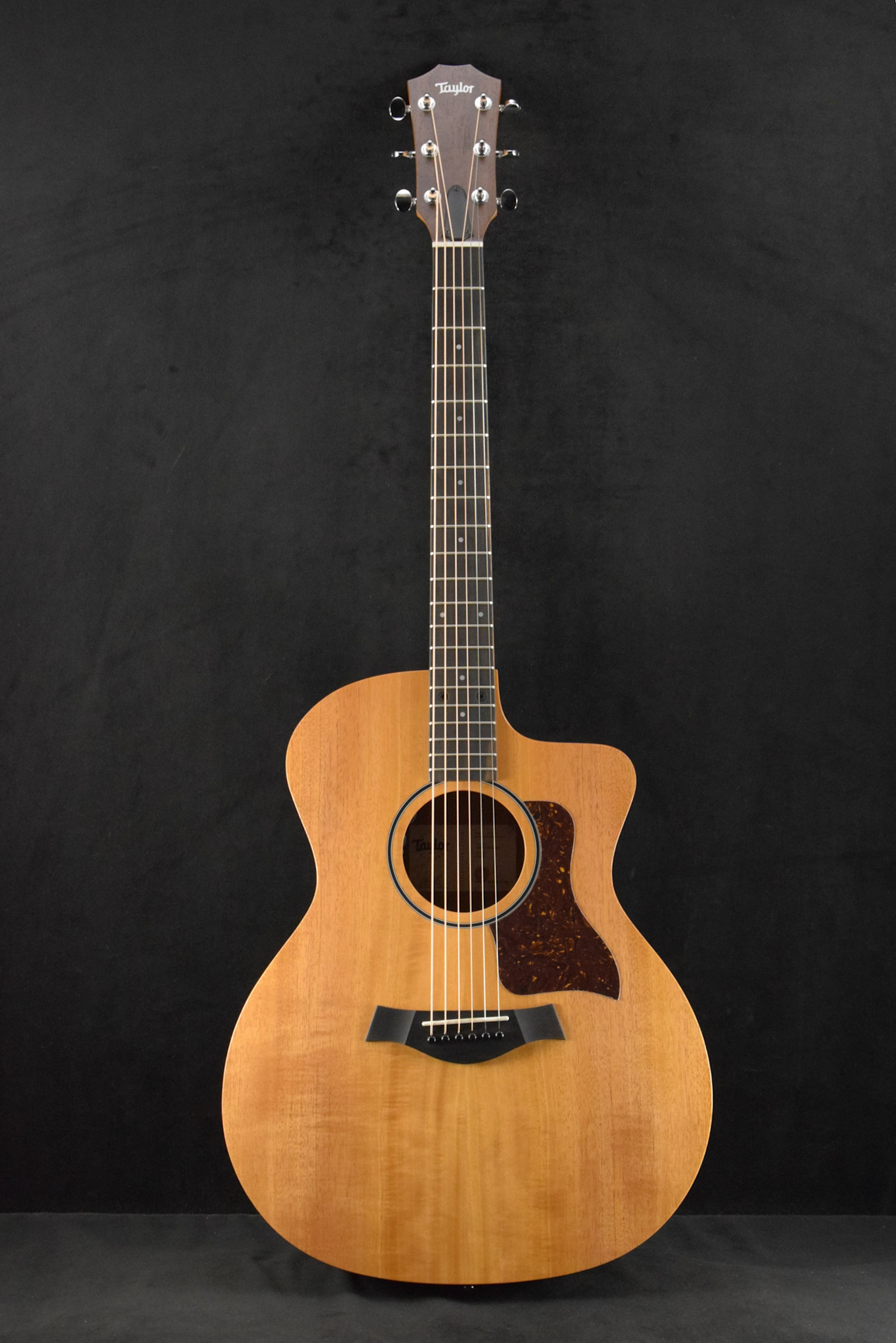 Taylor Taylor 24ce Mahogany Top Natural