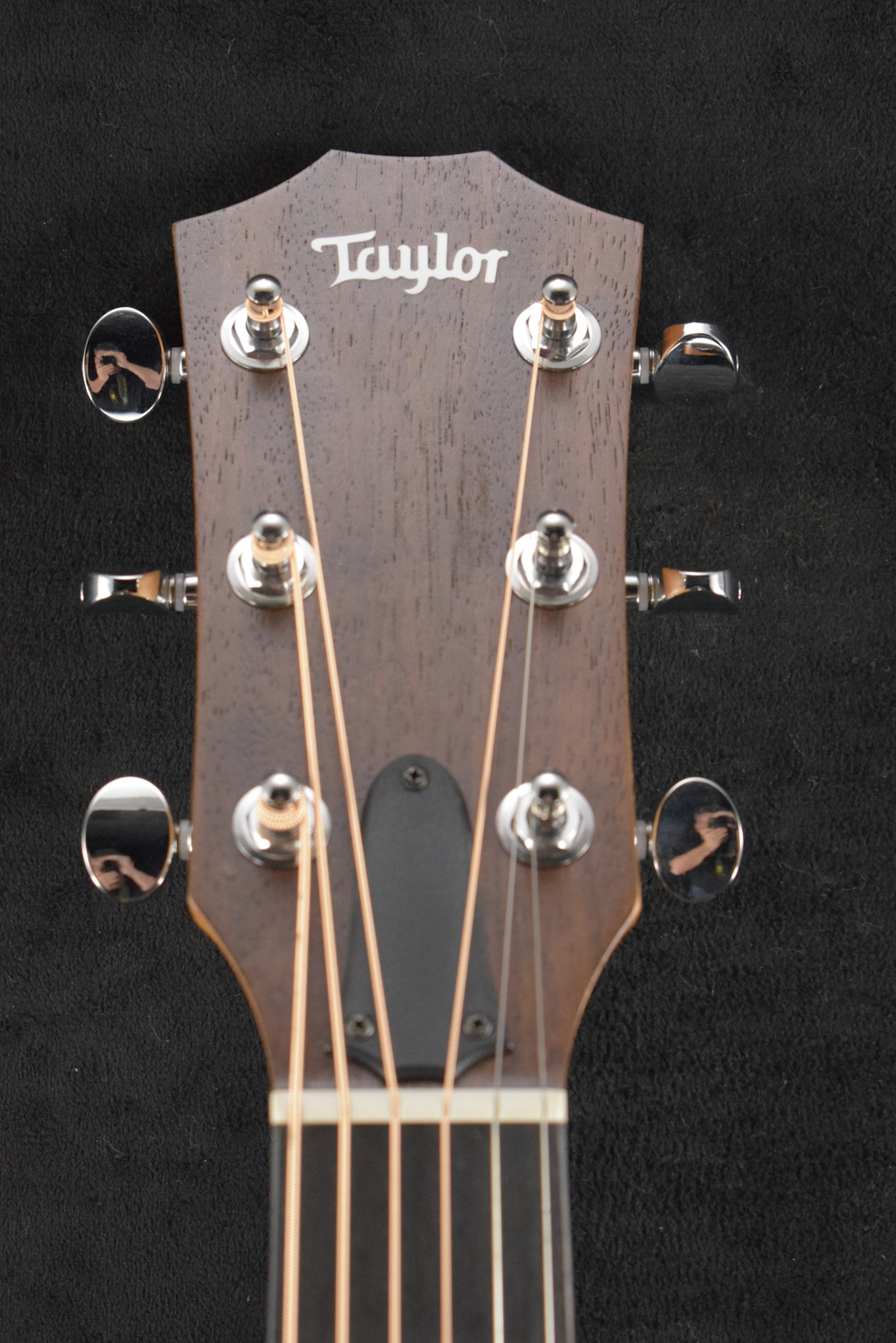 Taylor Taylor 24ce Mahogany Top Natural