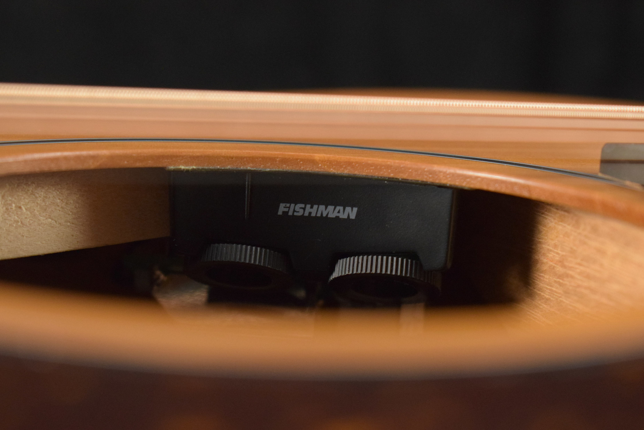 Taylor Taylor 24ce Mahogany Top Natural