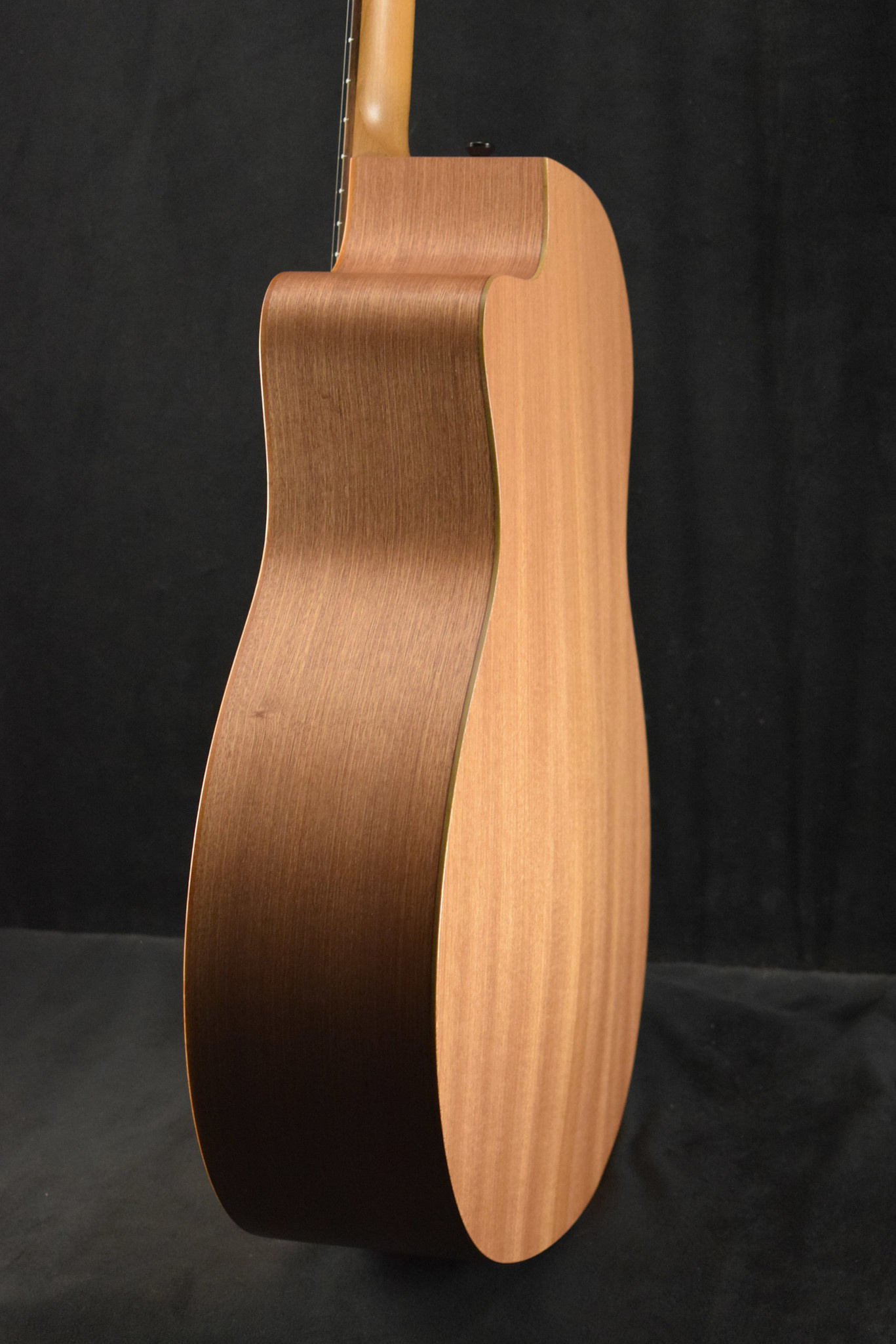 Taylor Taylor 24ce Mahogany Top Natural