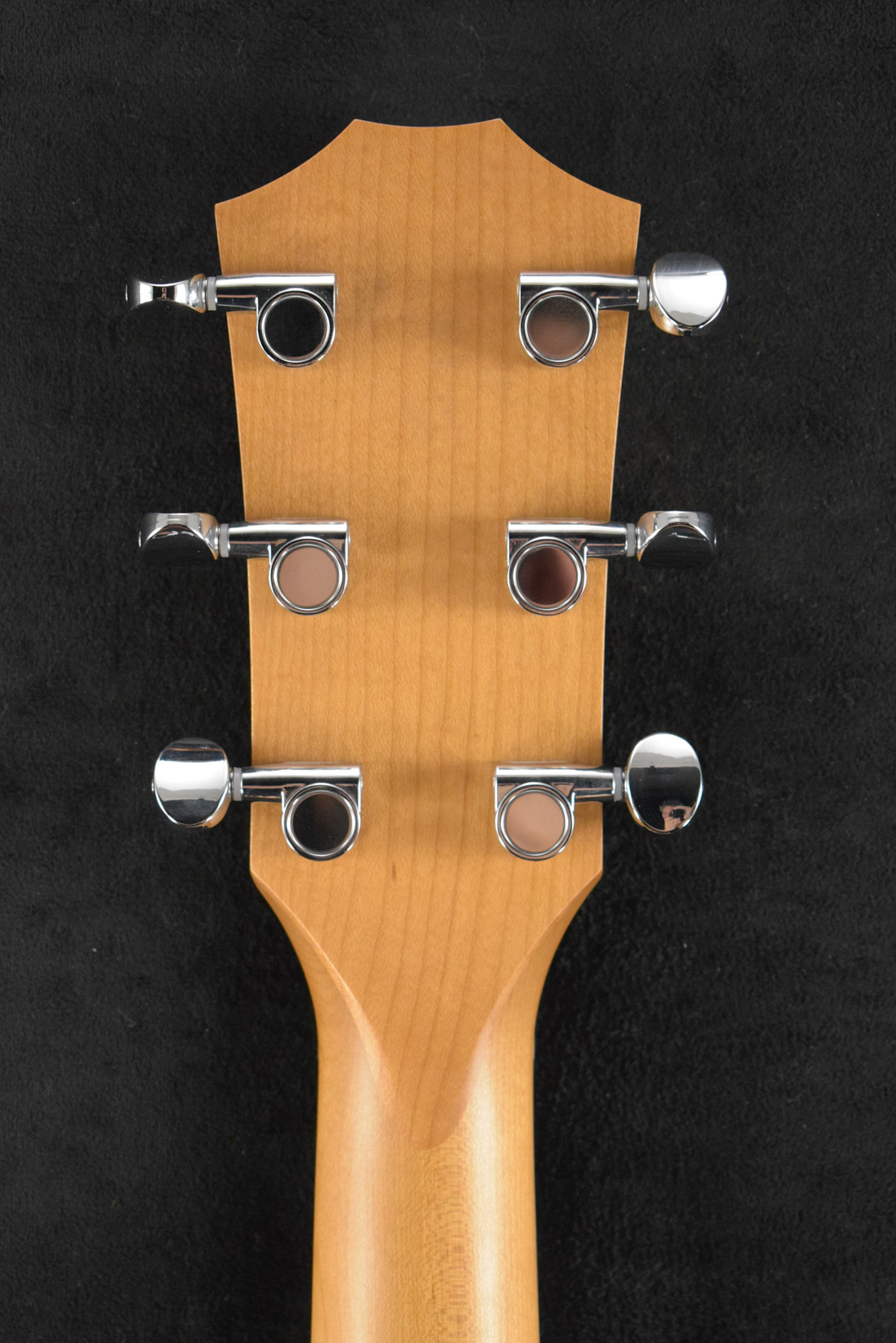 Taylor Taylor 24ce Mahogany Top Natural