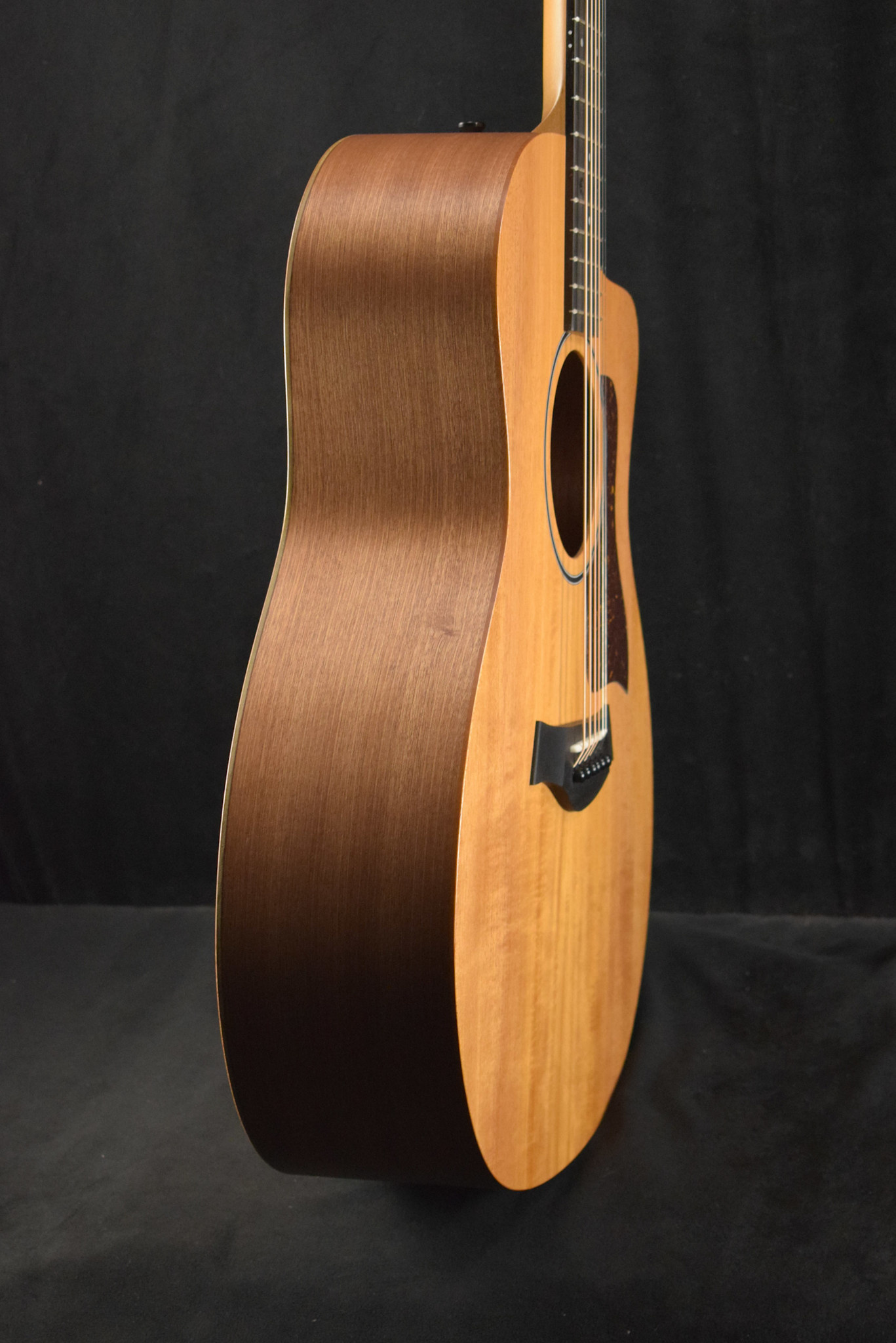 Taylor Taylor 24ce Mahogany Top Natural