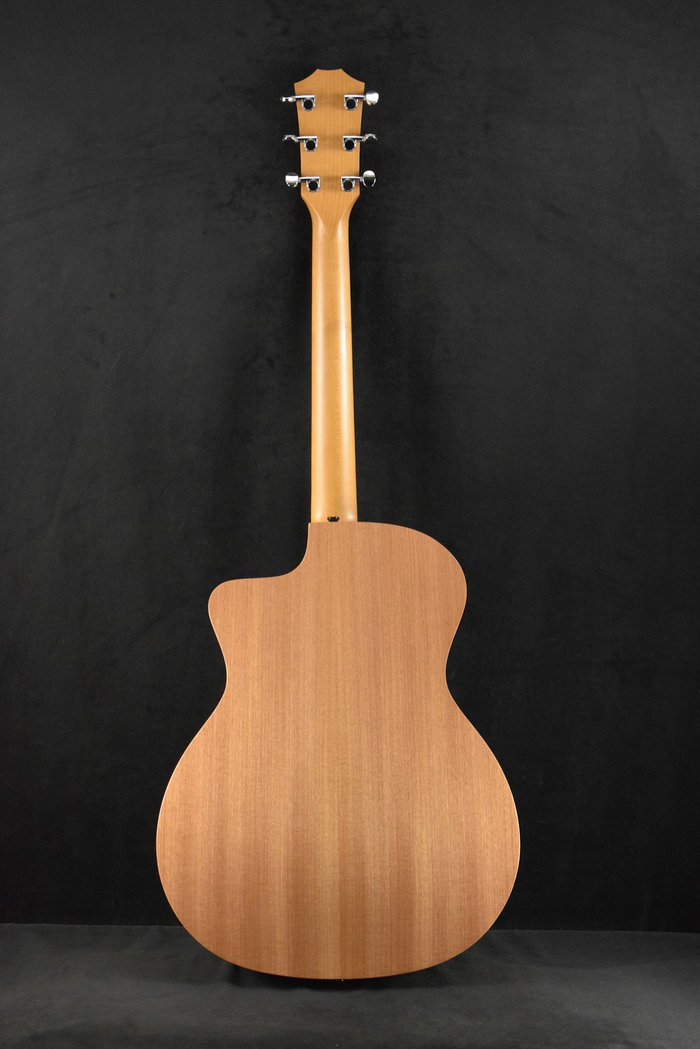Taylor Taylor 24ce Mahogany Top Natural