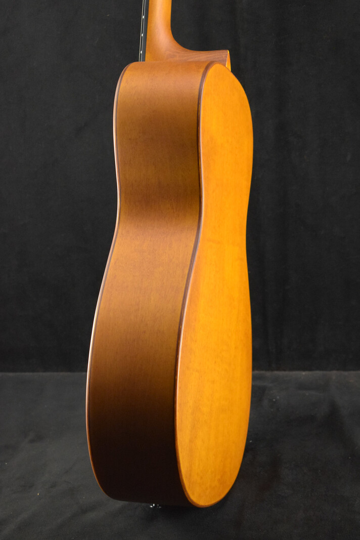 Epiphone Epiphone Dobro Hound Dog Round Neck Vintage Brown