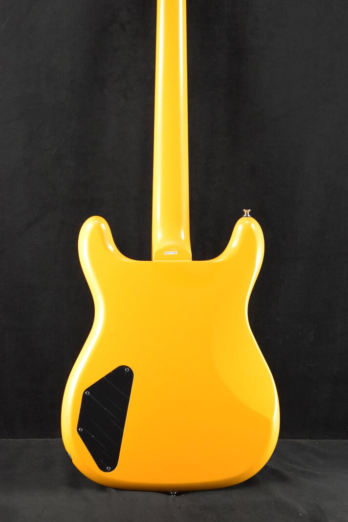 Epiphone Epiphone Newport Bass California Coral