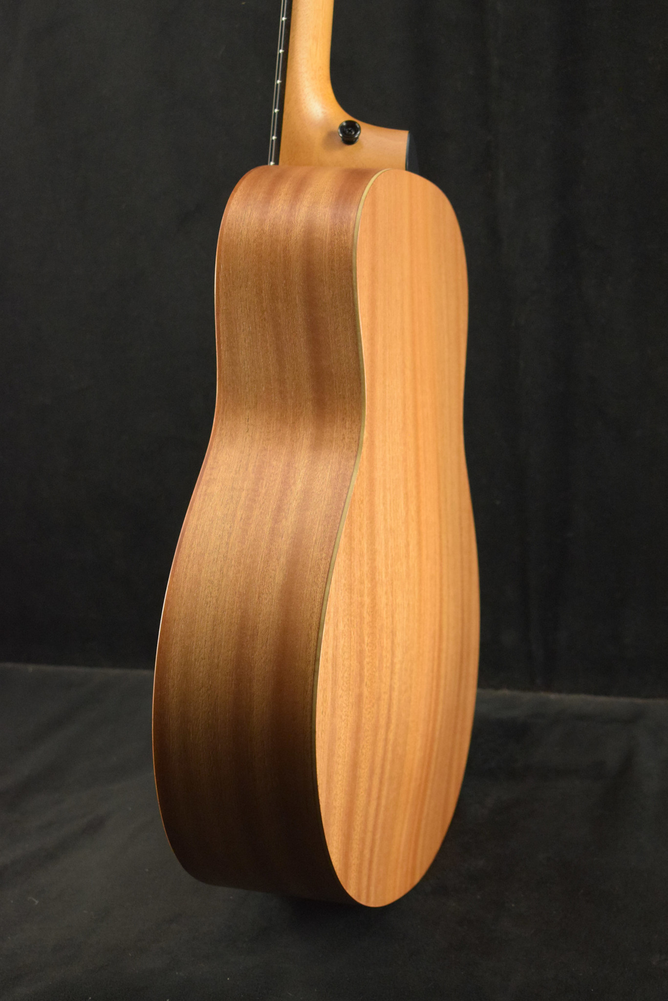 Taylor Taylor GS Mini-e Mahogany