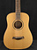 Taylor Taylor BT1 Baby Taylor Natural