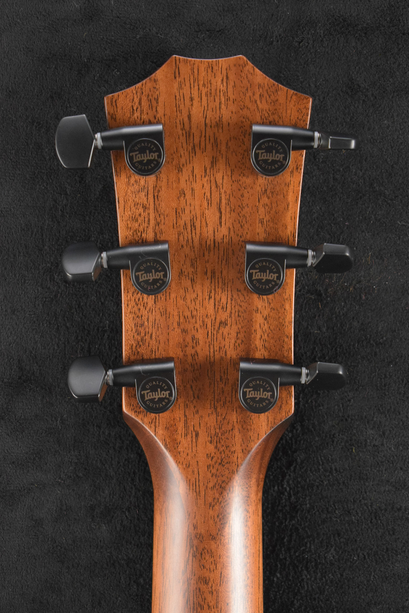 Taylor Taylor 324ce Baritone-6 LTD Shaded Edgeburst