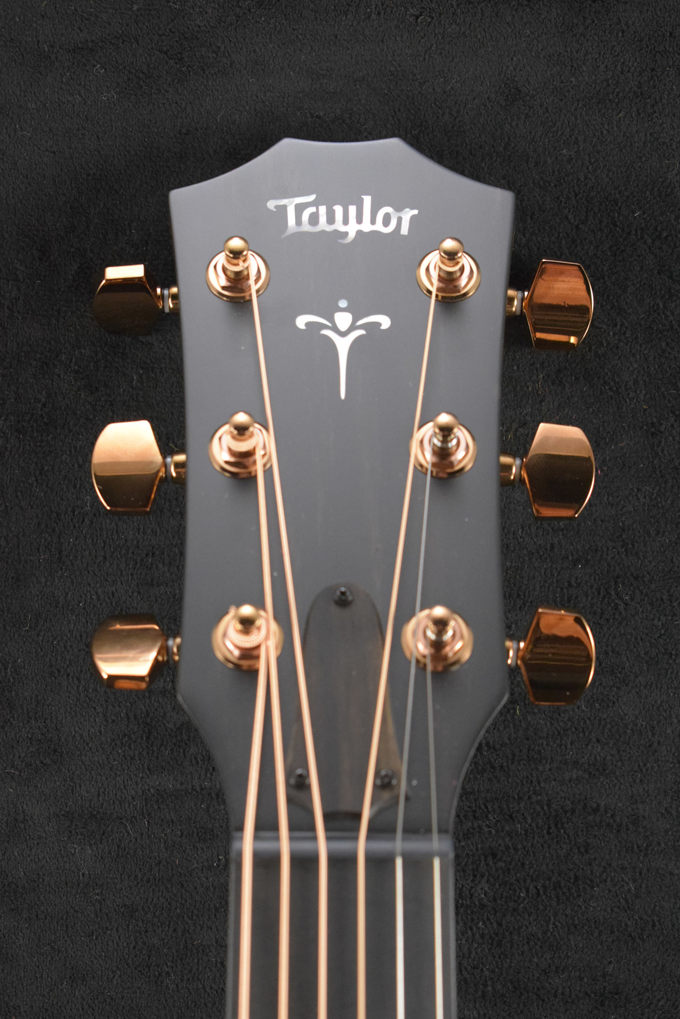Taylor Taylor 724ce Natural Gloss