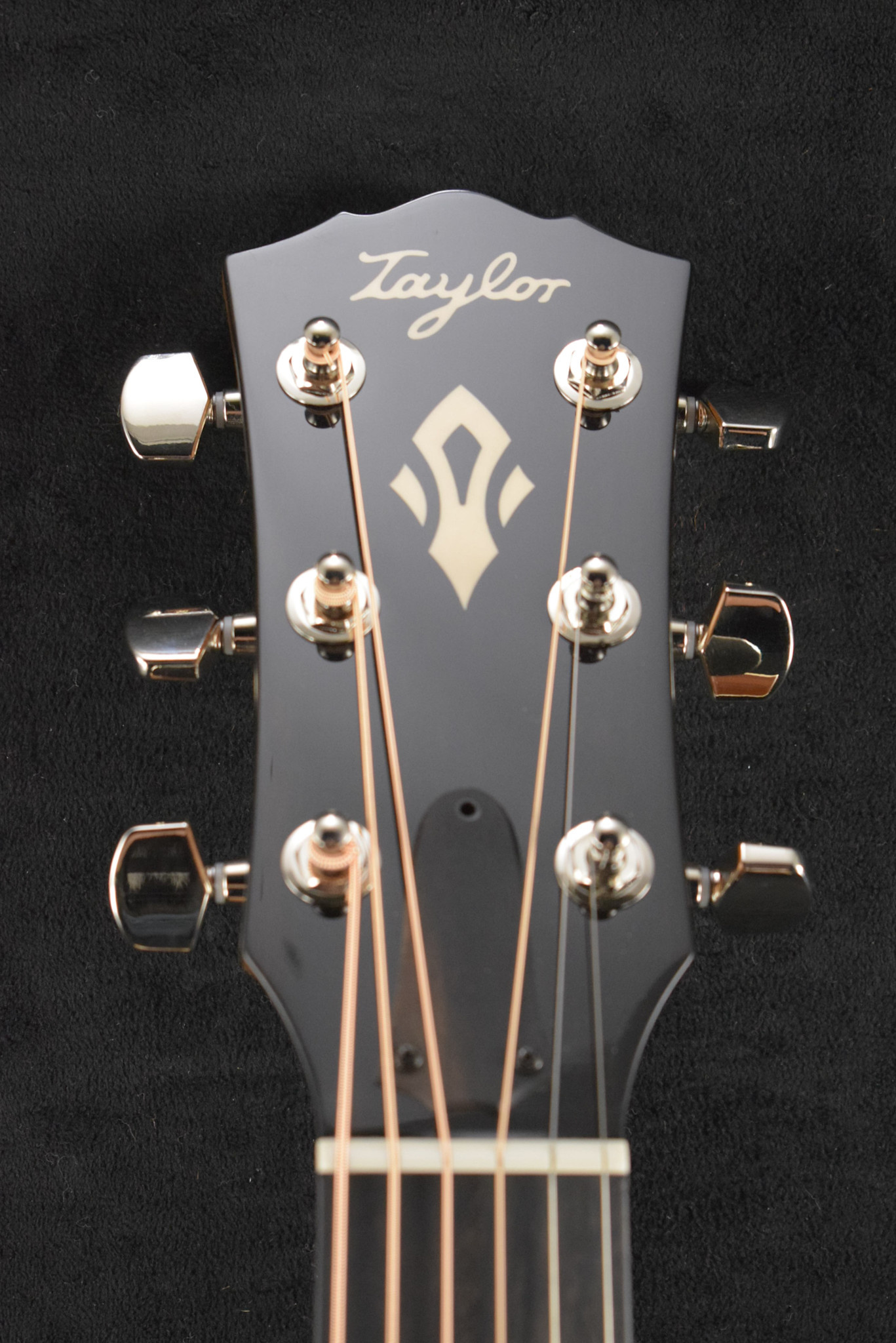 Taylor Taylor Gold Label 517e SB Sunburst w/ Firestripe Pickguard