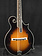 Epiphone Epiphone IGC F-5G F-Style F-Hole Mandolin Cremona Sunburst w/ Hard Case