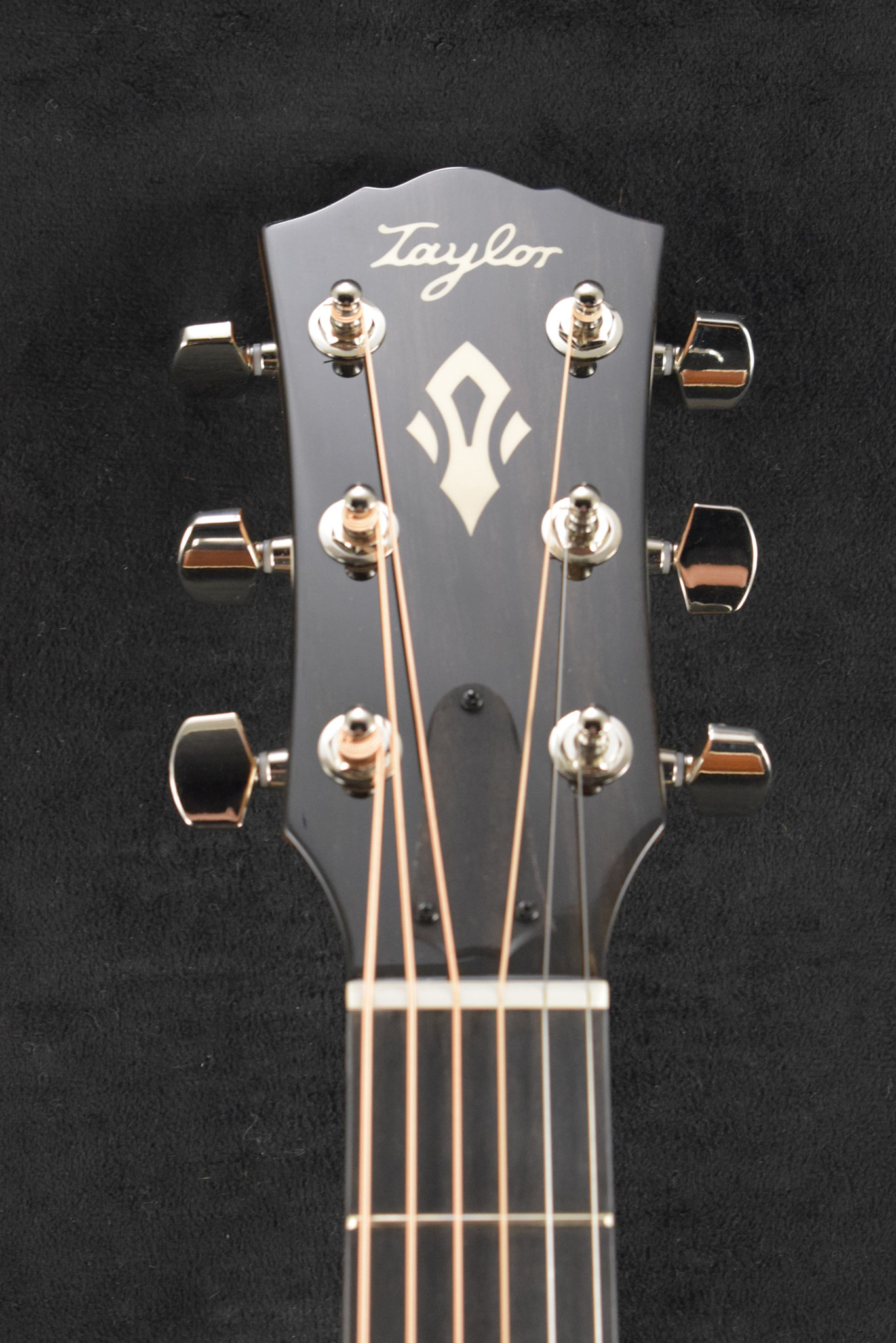 Taylor Taylor Gold Label 514e SB Sunburst w/ Firestripe Pickguard