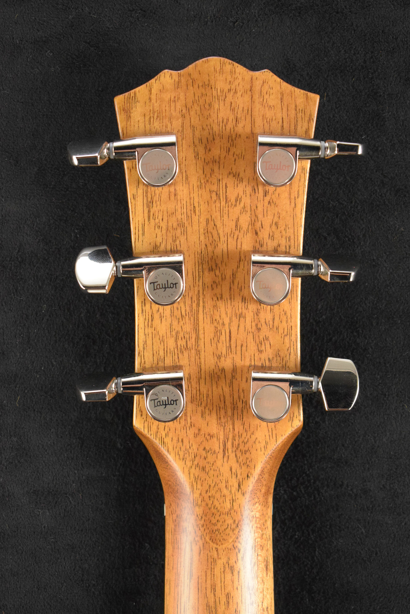 Taylor Taylor Gold Label 514e SB Sunburst w/ Firestripe Pickguard