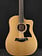Taylor Taylor 150ce 12-String