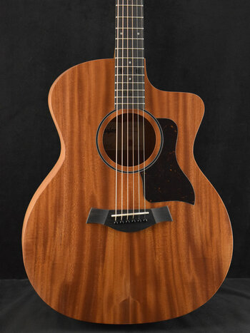 Taylor Taylor 24ce Mahogany Top Natural