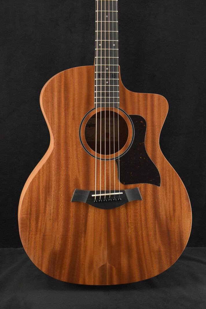 Taylor Taylor 24ce Mahogany Top Natural