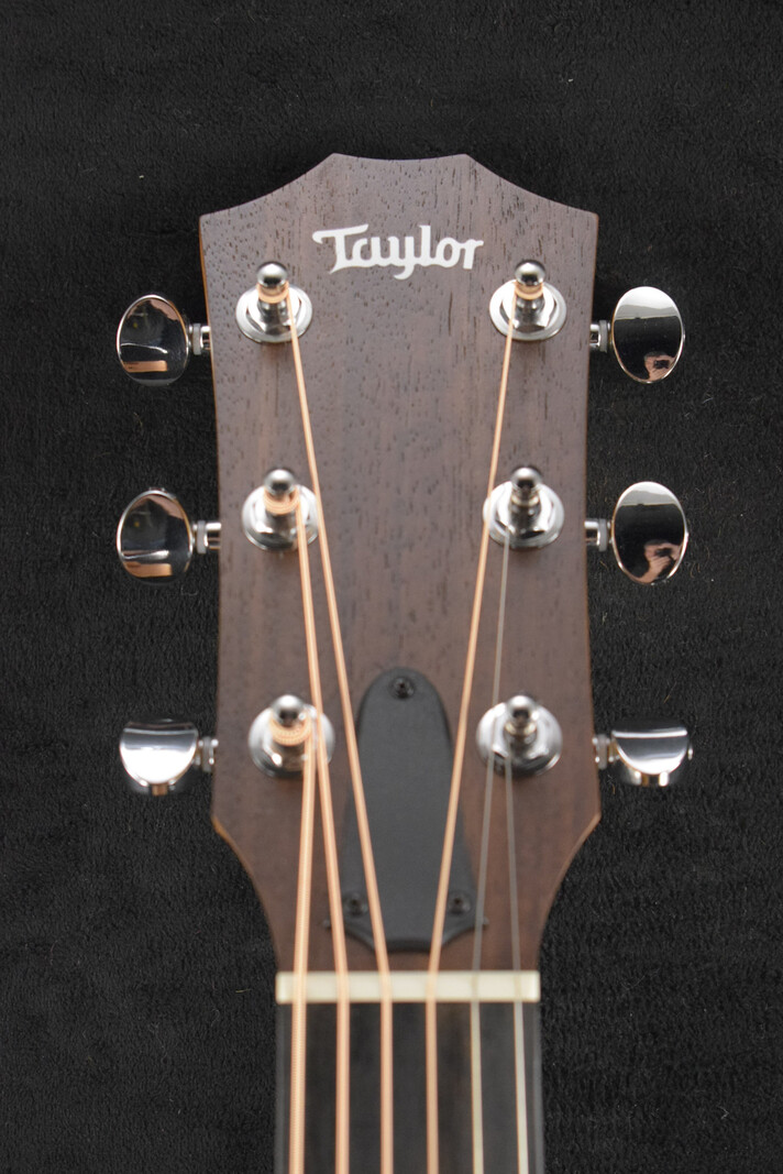 Taylor Taylor 24ce Mahogany Top Natural