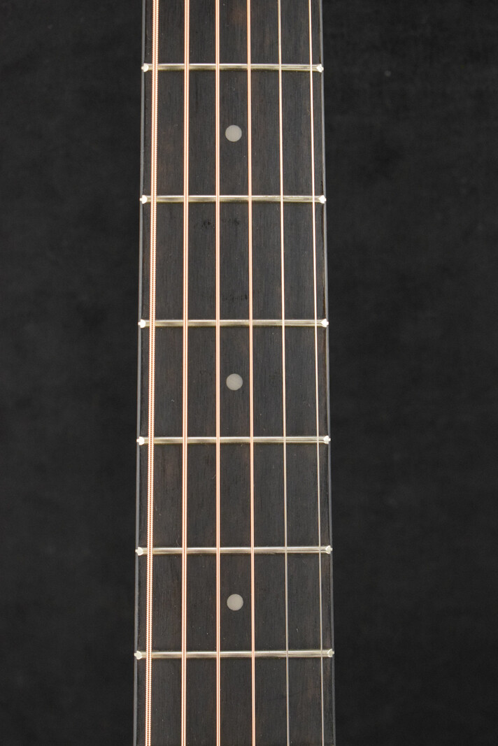 Taylor Taylor 24ce Mahogany Top Natural