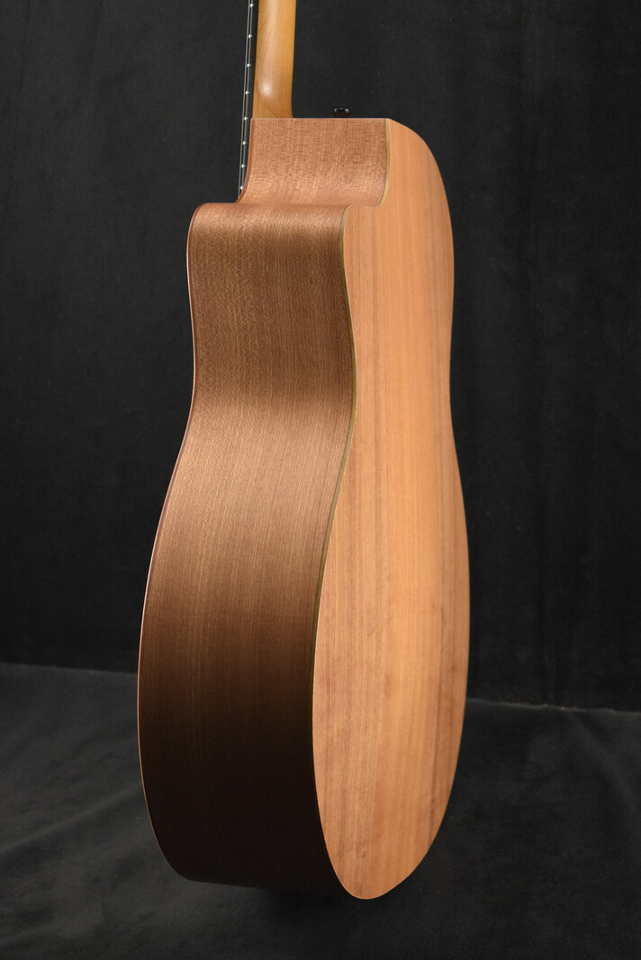 Taylor Taylor 24ce Mahogany Top Natural