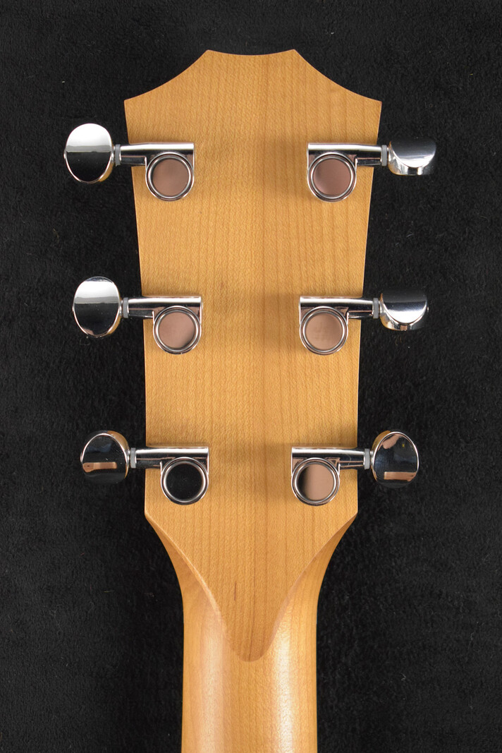 Taylor Taylor 24ce Mahogany Top Natural
