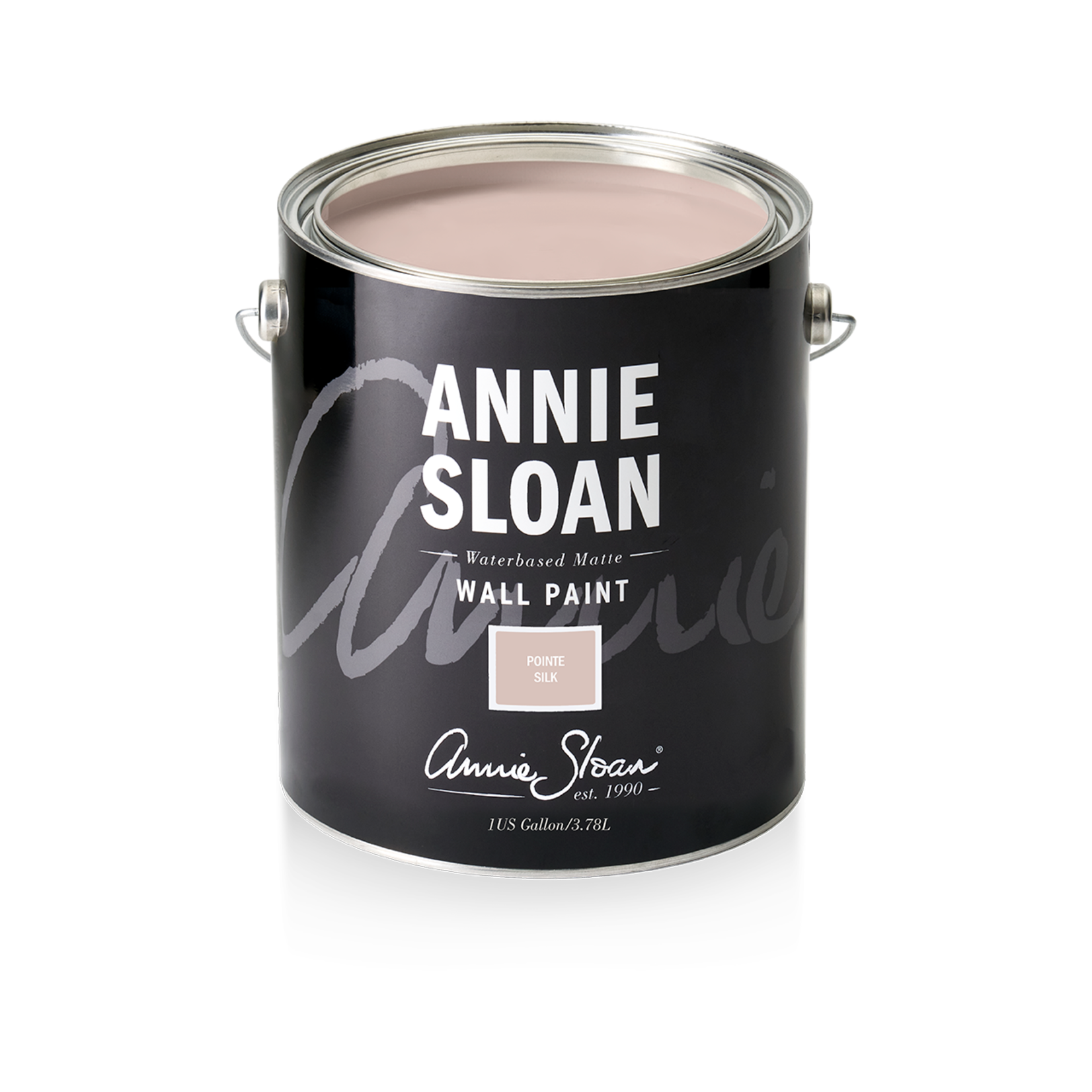 Annie Sloan Annie Sloan Wall Paint 1 Gallon Pointe Silk