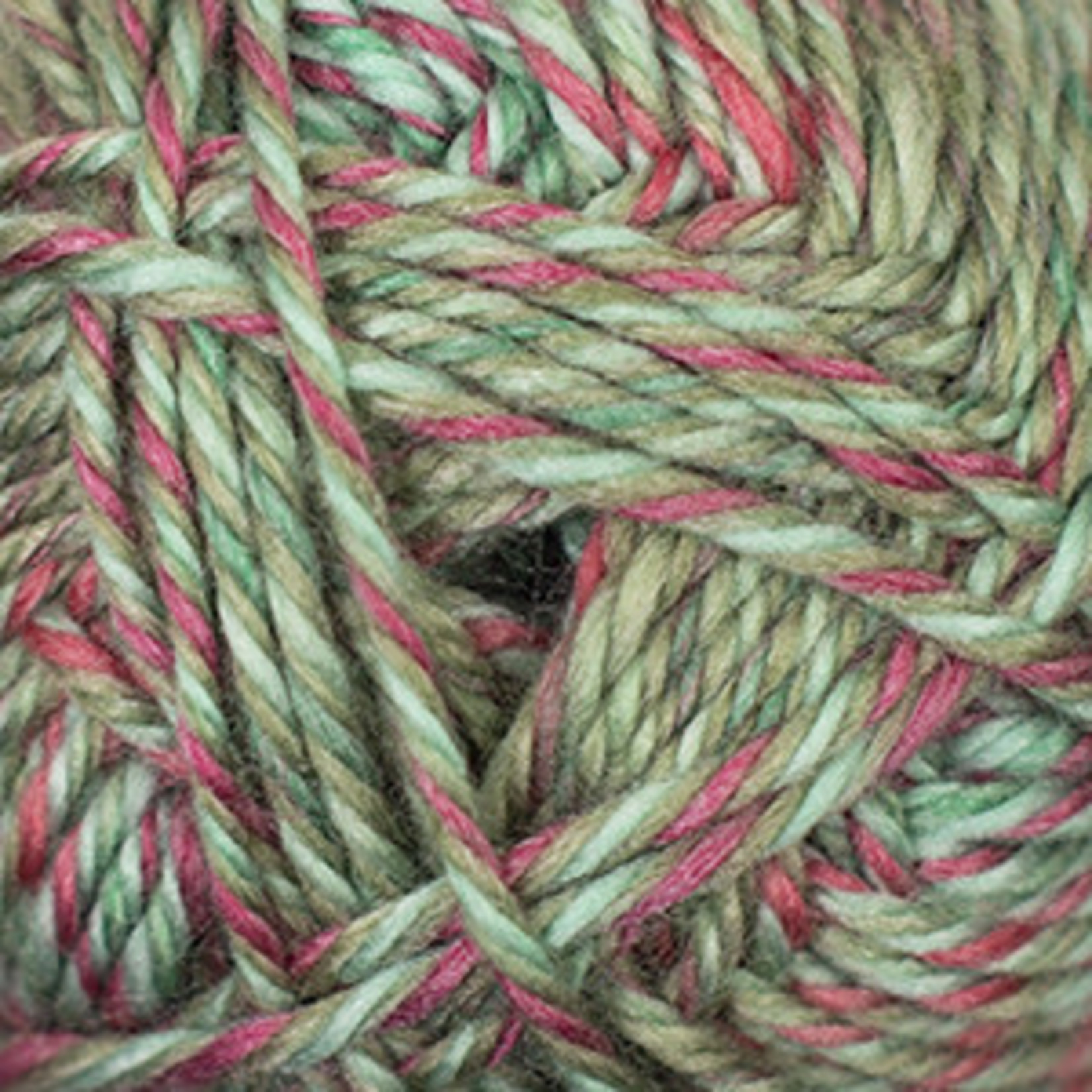 Cascade Yarn Cherub Bulky Yarn - Michigan Fine Yarns