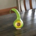 Sunflower Mini Gourd