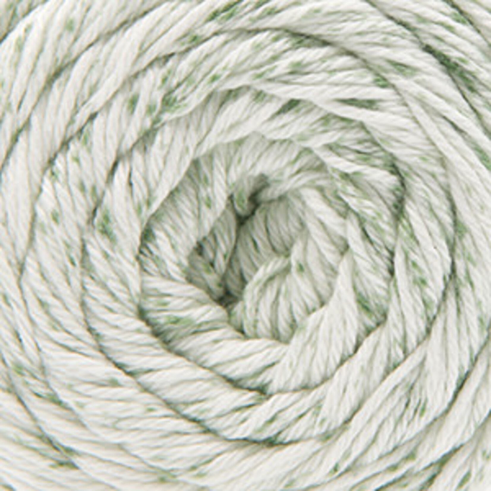 Cascade Yarns Botanika