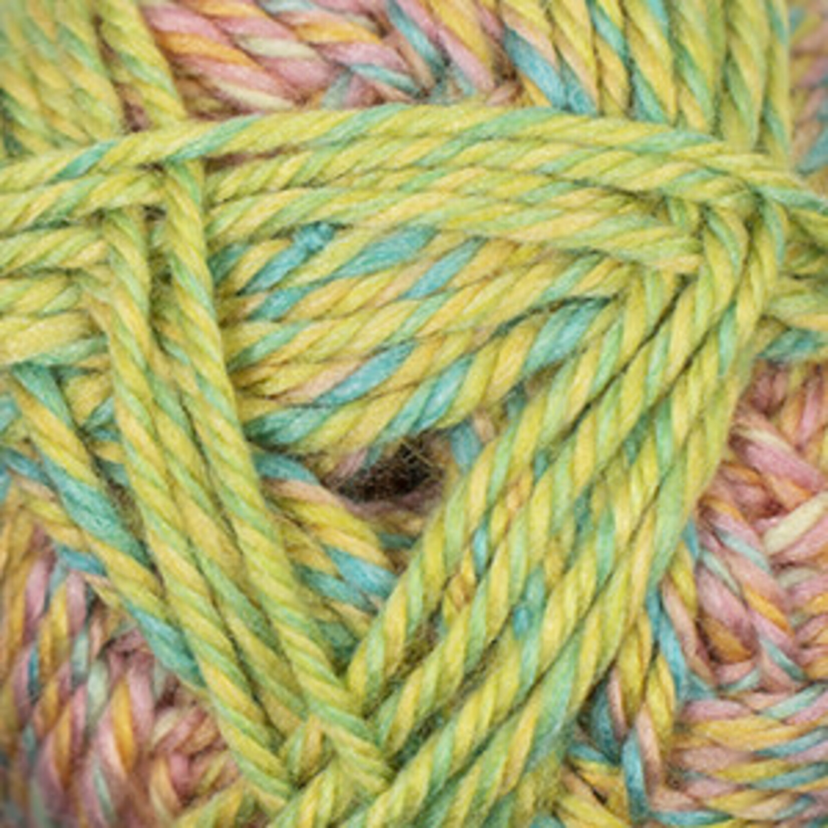 Cascade Yarns Cherub Chunky Wave