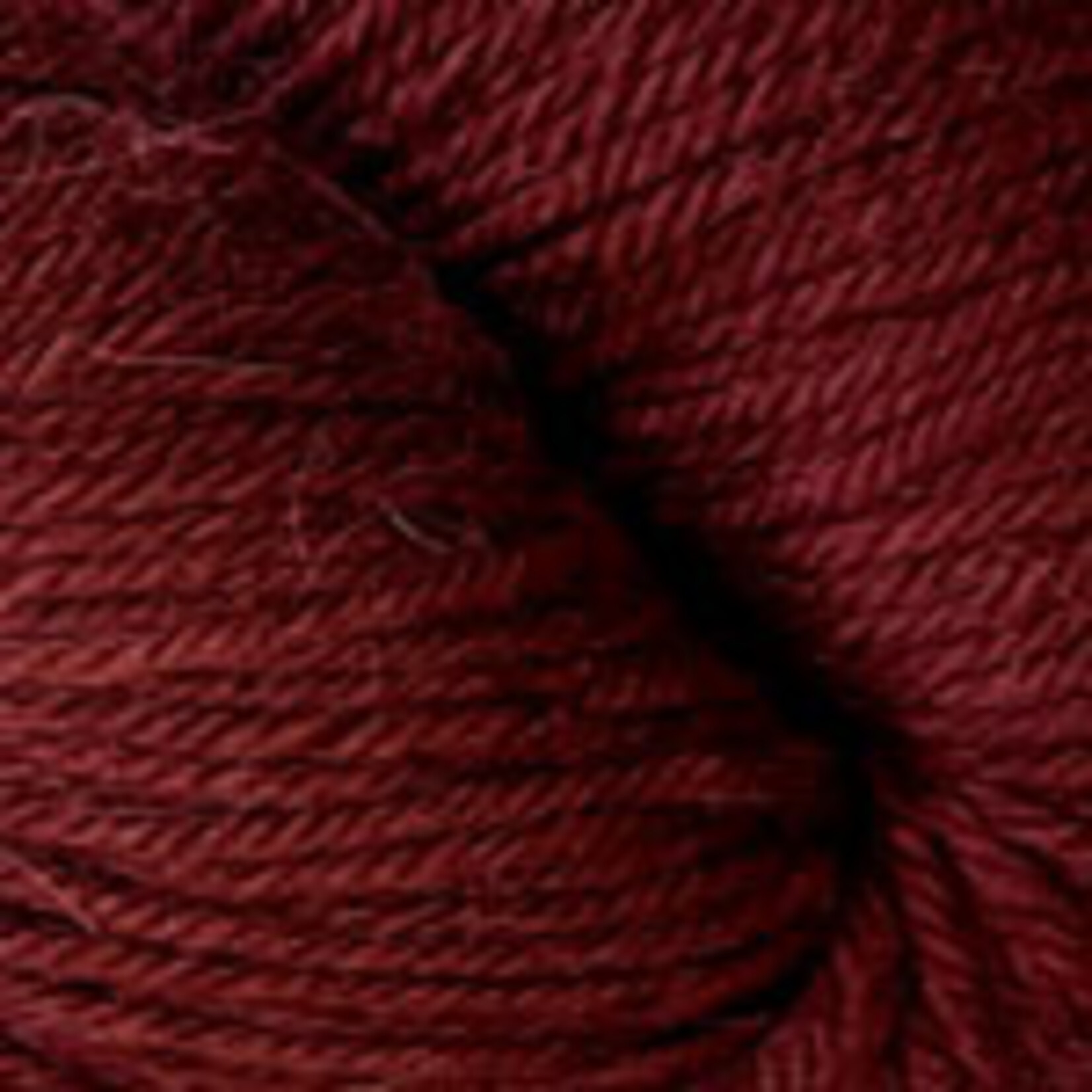 Plymouth Yarn Baby Alpaca Worsted EC