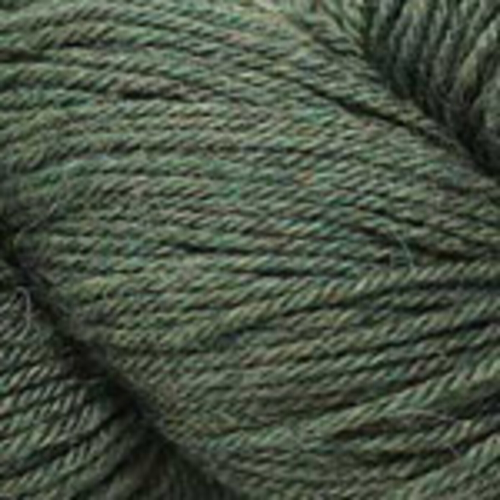 Plymouth Yarn Baby Alpaca Worsted EC