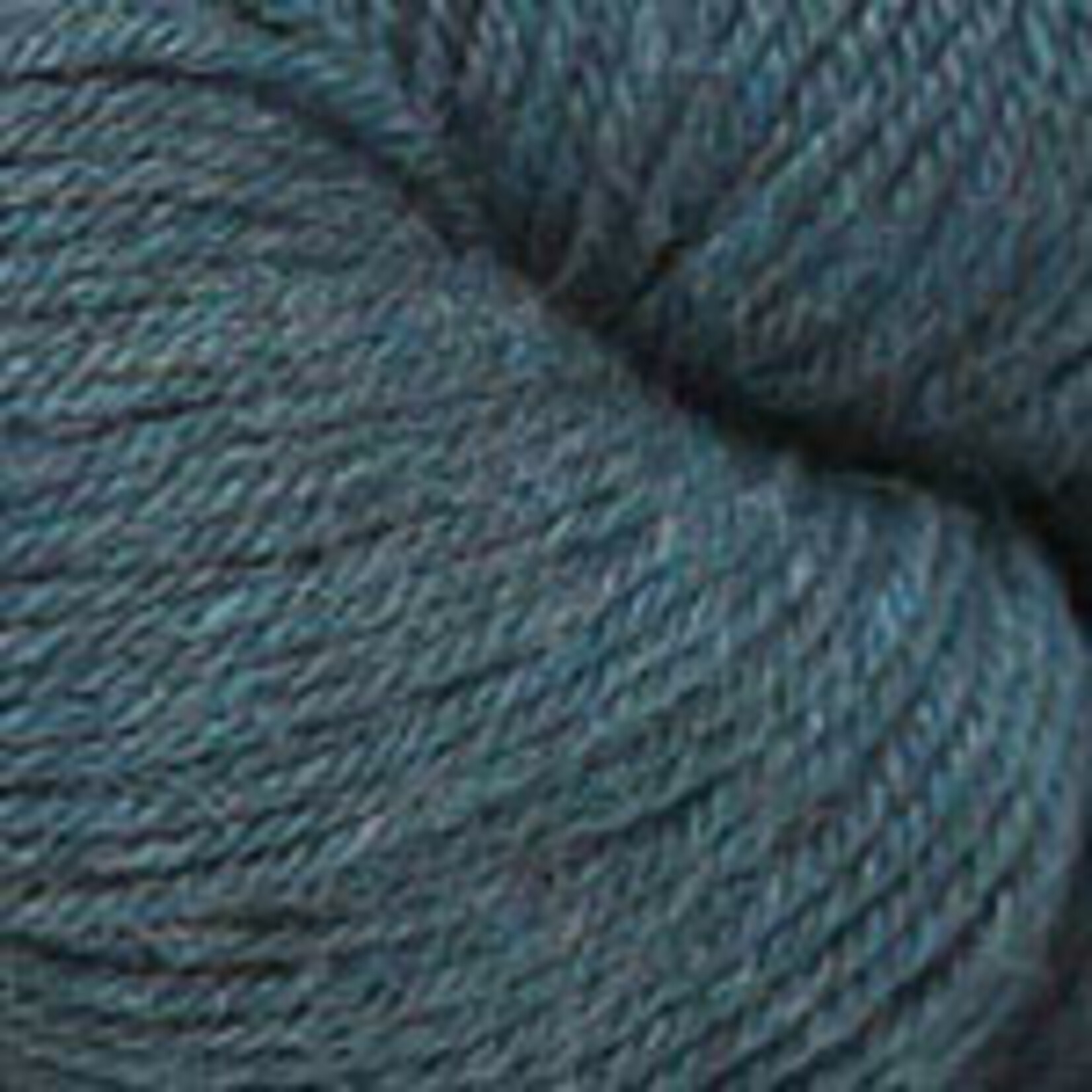 Plymouth Yarn Baby Alpaca Worsted EC