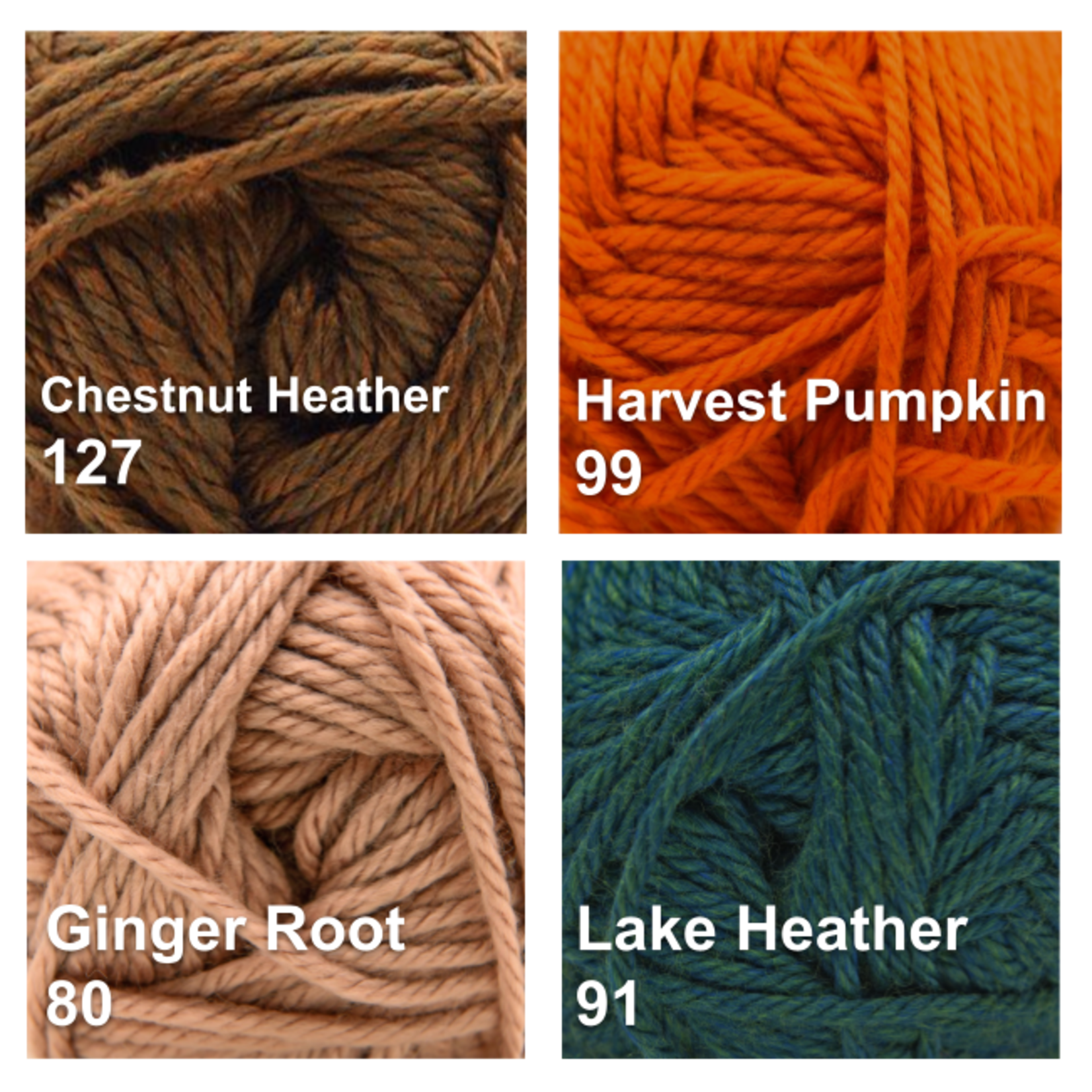 Cascade Yarns Cherub Chunky