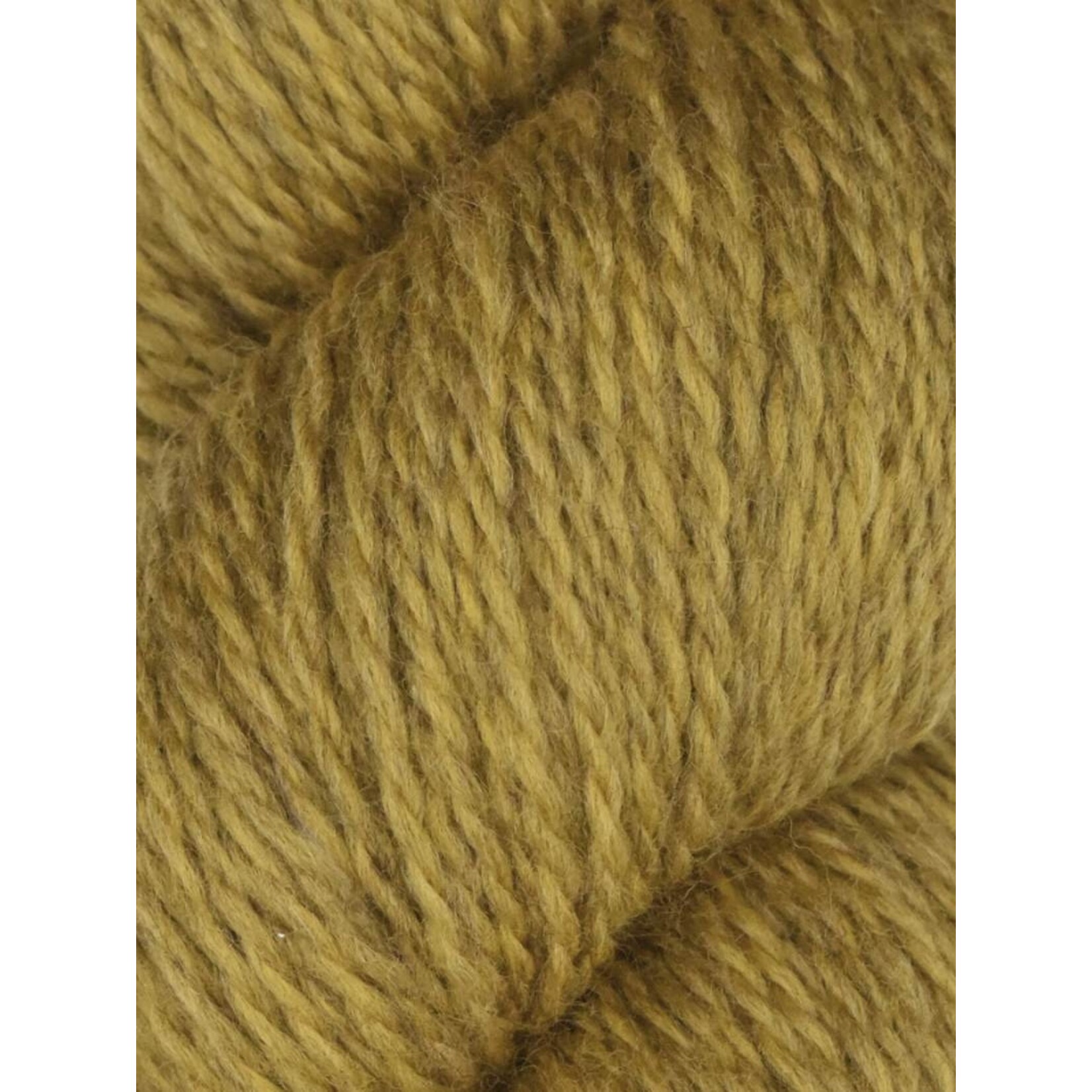 Juniper Moon Farm Rambouillet