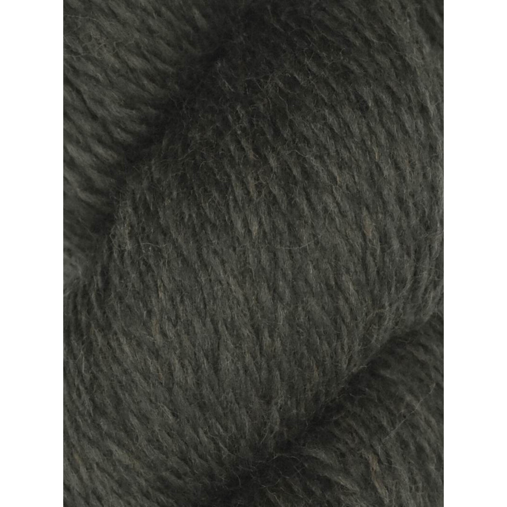 Juniper Moon Farm Rambouillet