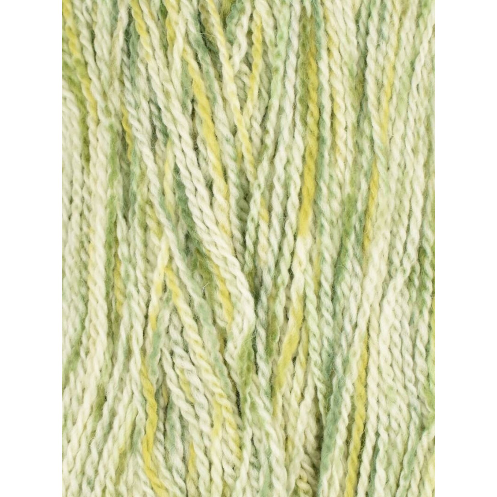 Jody Long Andeamo Lite Painted