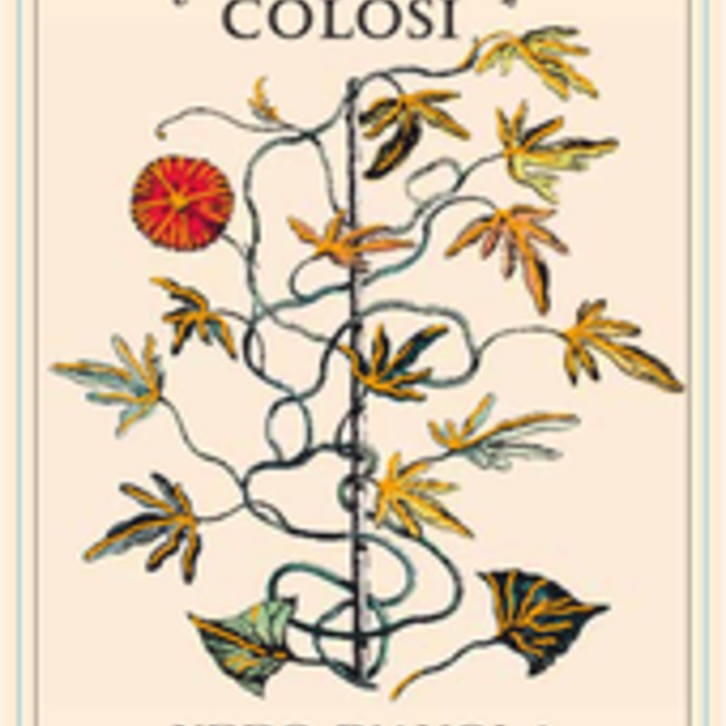 Colosi Nero D'Avola 2023