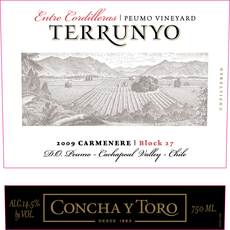 Concha Y Toro Terrunyo Block 27 Carmenere 2019