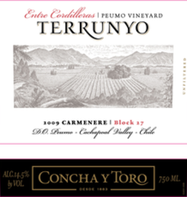 Concha Y Toro Terrunyo Block 27 Carmenere 2019