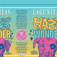 Lagunitas Hazy Wonder 6pack
